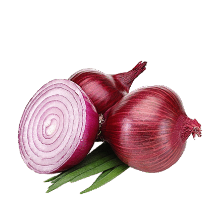 Onion