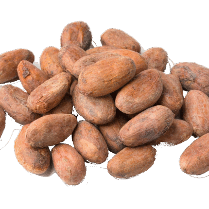 Cocoa Beans