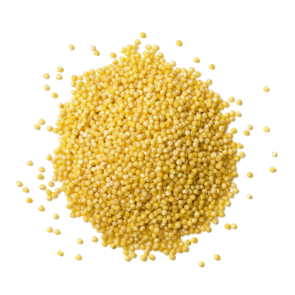 Millet