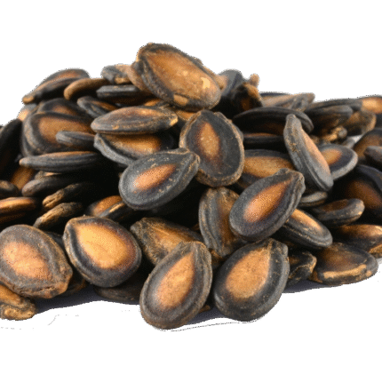 Watermelon Seed