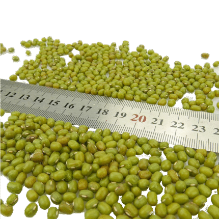Green Mung Beans