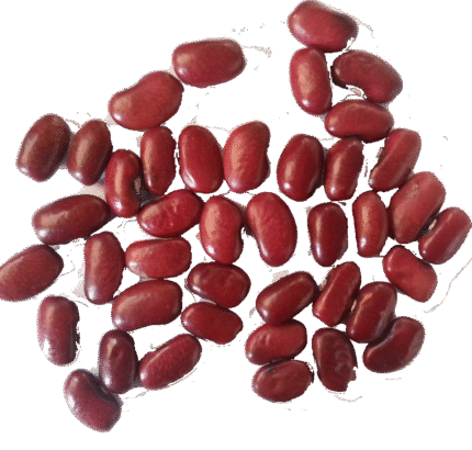 Kidney Beans