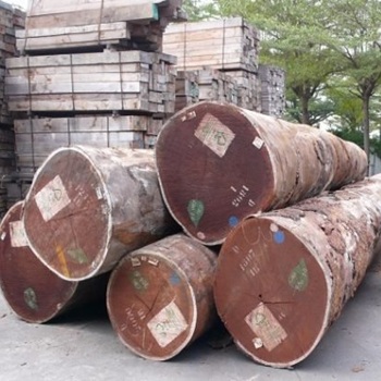 Timber