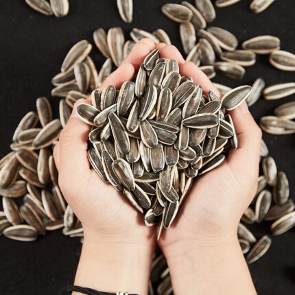 Sunflower Seeds