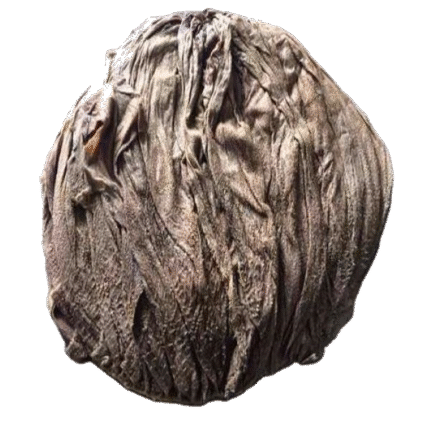 Beef Omasum