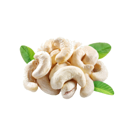 Cashew Kernel